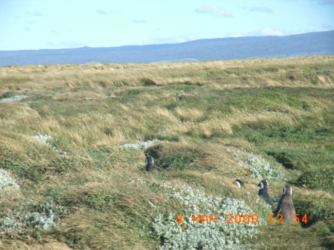 きっと同じように想っているのだろう。