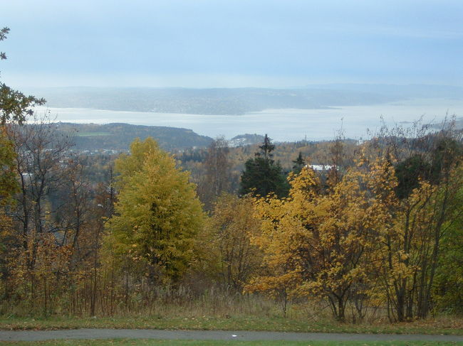 ジャンプ台から駅に戻る道からも、美しい海を一望する事ができました。紅葉も大変綺麗でした。