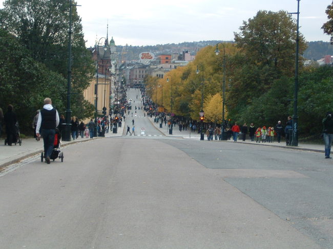 オスロの目抜き通りカールヨハン通りです。王宮の前はなだらかな坂道になっています。この日は土曜日だったので道も歩行者専用になっており、沢山の人が散歩していました。