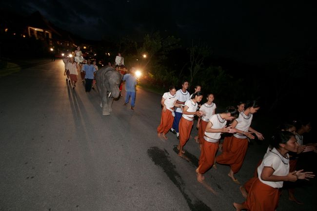 タイ式挙式<br />タイ伝統式ロングドラム＆ベビーエレファントとともにねり歩き。<br />途中、屋台が壊れ落ちそうに・・・<br />スコースパ従業員総出のパレードでした。