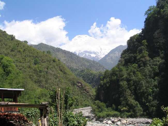 途中ちょっと見えた!