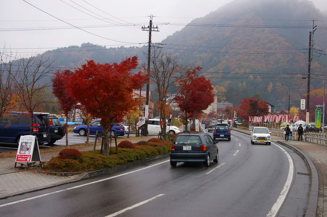 道路の街路樹も赤く色づいています。猿回し劇場のバス亭で降りて２００ｍぐらい歩きます。