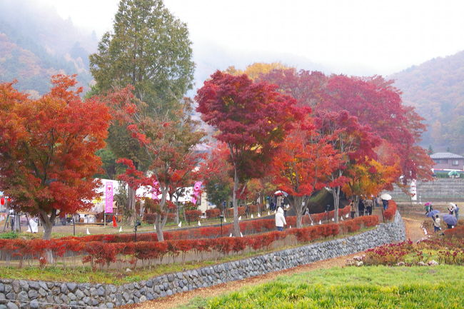 紅葉回廊は５００ｍぐらい続いています。もみじのトンネルです。