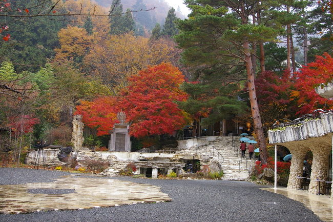 庭の紅葉はお見事。