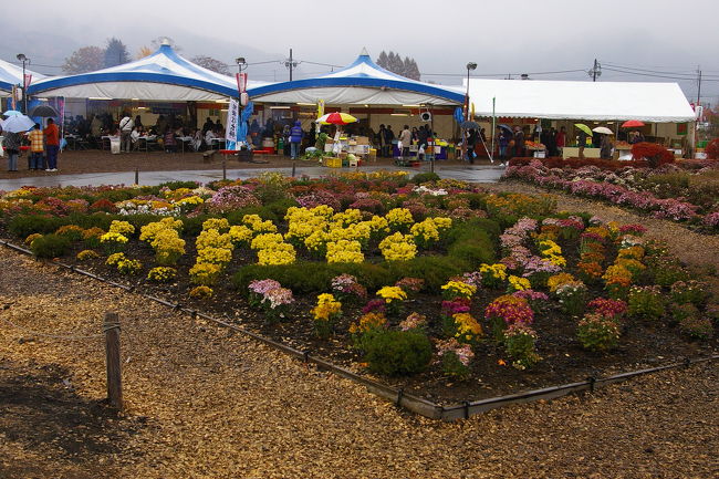 紅葉祭りのテントが見えます。中にはいろいろな屋台があります。