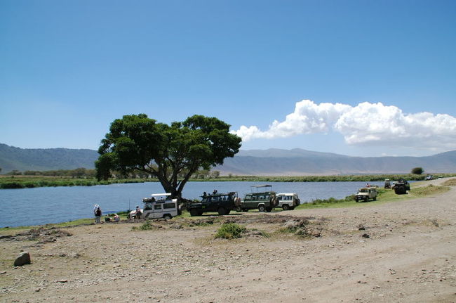 ここでランチを食べました
