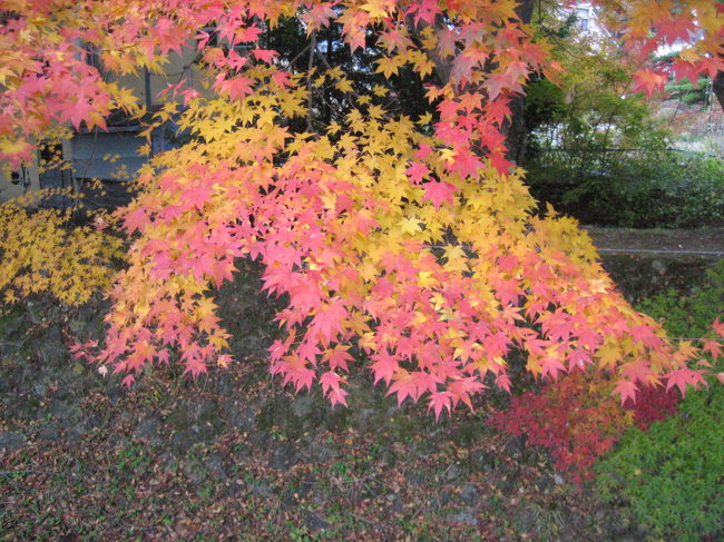 いい感じです。