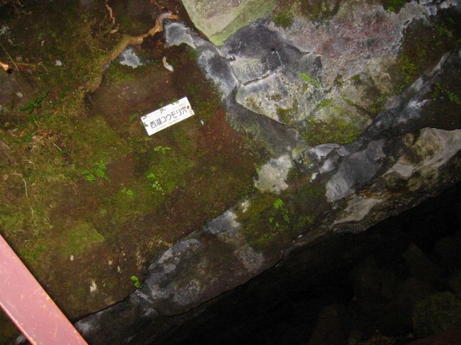 こうもり穴入り口<br />