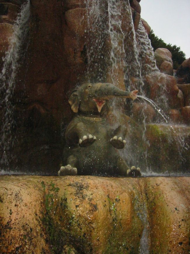 ジャングルクルーズのぞうさん!!