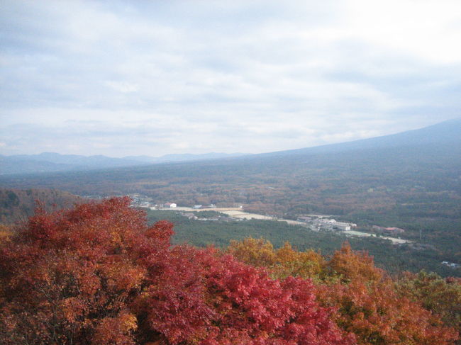 紅葉台から富士山を望む。