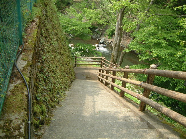 奥多摩奥地のニジマス釣り場にて。<br />ニジマスの塩焼きととろろご飯食べました！<br />美味しかった！ 