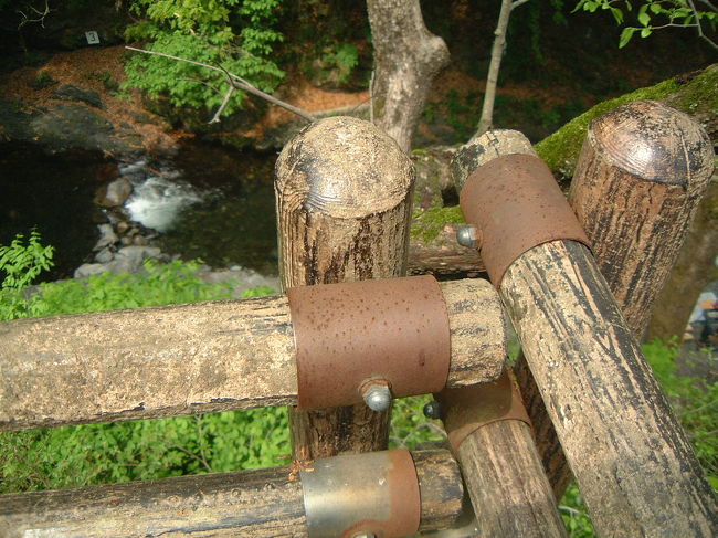 奥多摩奥地のニジマス釣り場にて。その2