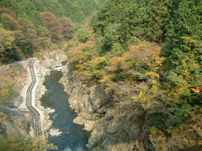 奥多摩鳩の巣周辺の森林潜り込んで写真撮影！3