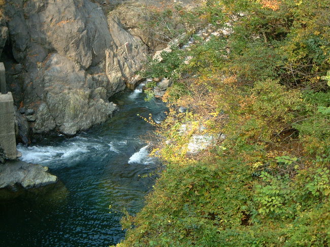 奥多摩鳩の巣周辺の森林潜り込んで写真撮影！4