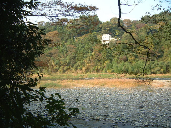 青梅周辺の多摩川緑地周辺その1