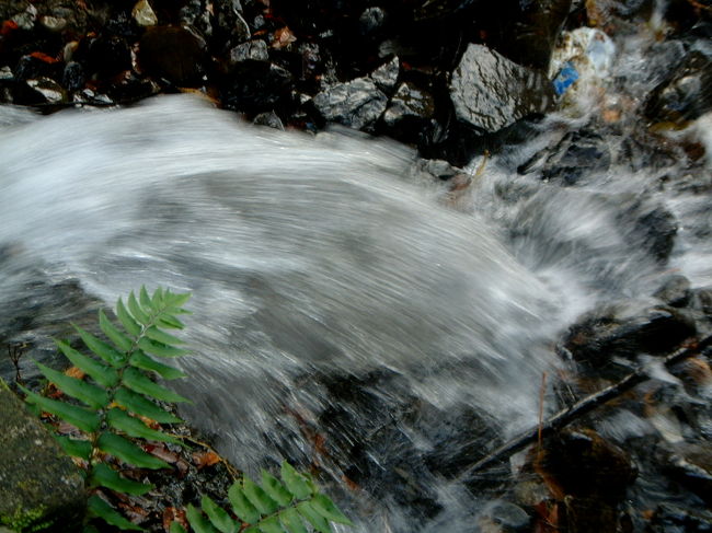 シャッタースピードが・・・。<br />水は難しいですね。