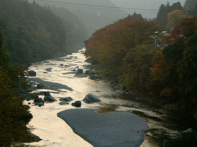 自然は最高ですね〜。癒されます。