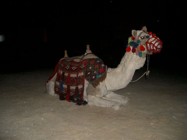 ラクダもいます。<br /><br />希望すれば乗れます。<br />・・・もちろんチップは別料金。<br /><br />この建物のライトアップと音楽と、<br />あとは何だか分からない馬のショーと、<br /><br />・・・ほったらかされる事、約１時間（笑）<br /><br /><br />なんとなくみんな分かってきた事ですが・・・<br /><br />このホテルに入るとき、エジプトの民族衣装っぽいのを着せられて、写真を撮られました。<br />そぉー言えば！<br />それをみんなにご飯を食べさせてる間、現像して・・・<br />この観客席に持って来て、売りつけようとする計画です（笑）<br /><br />その間、みんな逃げられず。。。<br />喉も渇くのでドリンクも欲しい・・・ハイ、別料金（笑）<br /><br />この観覧席から見る建物のライトアップは単なる時間稼ぎ！？<br /><br />ヒマな人はラクダにも乗れますよ〜☆<br />ハイ、別料金（笑）<br /><br />すごいよっ！ハルガダの観光客相手の商売（笑）<br /><br />