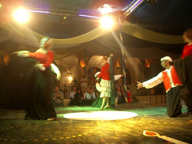 やっと全員に「写真はいりますか？」の質問が終わり（笑）<br />観覧席から開放された私達。。。<br /><br />次はやっとやっとダンス♪<br /><br />はぁ〜〜〜、ここまでホント長かった（笑）