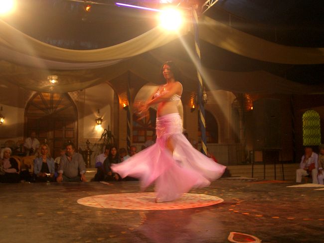 全ての動きがセクシーで見とれてしまう。。。