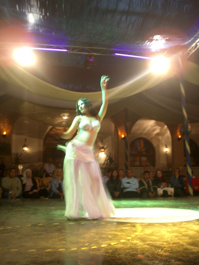 素敵なベリーダンス。<br />どこまで続いたのか分かりませんが・・・（笑）<br /><br />私達はバスの時間があるので、帰る事に。<br />最後のダンスで、いいものが見れたような気がしたけど、<br />このダンスにたどり着くまでの何時間か・・・<br />何だったのか分からず（笑）<br /><br />不思議な不思議なエジプトの夜でした（笑）<br /><br />旅行の事、住んでるウィーンの事。<br />HP（http://www.geocities.jp/lieben_ar/）でも色々書いてます。<br />良かったらこちらにも遊びに来て下さいネ☆