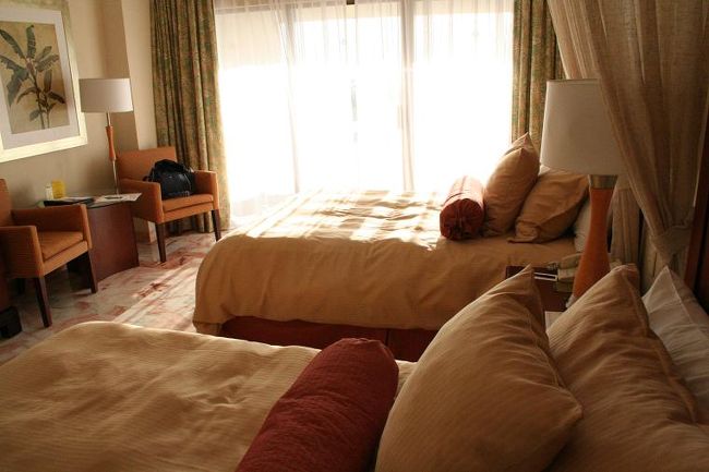 あらかじめネットで予約しておいた送迎に乗って、カビ臭い古いリゾートホテル、オムニカンクンに到着しました。<br /><br />次の機会は別のホテルにしよう。<br />なぜなら、<br />http://4travel.jp/overseas/area/latin_america/mexico/cancun/tips/?SORTBY=&amp;CAT=HOTEL&amp;ID=16690&amp;sel_year=&amp;sel_month=&amp;txt_keyword=