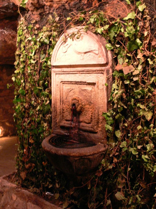 ワインの湧き出る泉<br /><br />本物のワインが出てます。<br />ちょっとくさい･･･