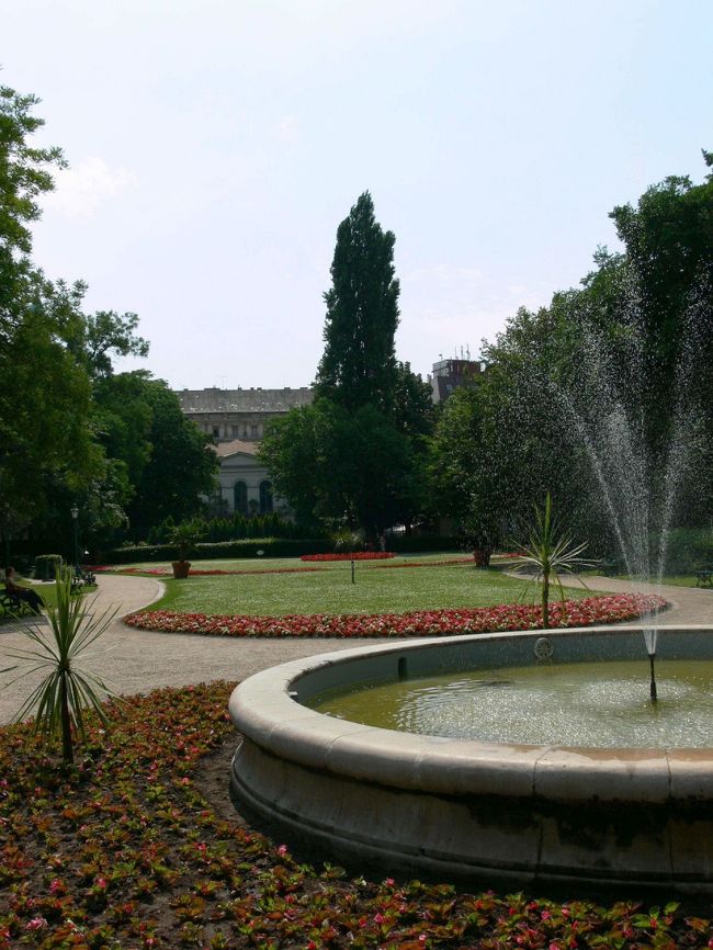 公園もよく手入れされています。