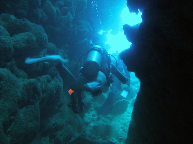 寒い寒いと言いながら３本。<br />大物はカメですかね。ちょっと遠かったんで残念ながら写真はなしですが、悠然と泳ぐ姿に感動しました。<br /><br />てゆーか、今回姉の海カメラには魚よりもへっぴり腰で泳ぐ私の姿ばかりがおさめられており、、お気遣いありがとうございます、、グアムでもセブでも「私の写真がない！」とブースカ言ったせいか？すんません、ビギナーは自分が潜っている！ということだけで大イベントなもんで、記念写真がほしくなるのよ。<br /><br />これは狭いトンネルを通っているところ。ドキドキ。岩にタンクがコーンと当たりました。