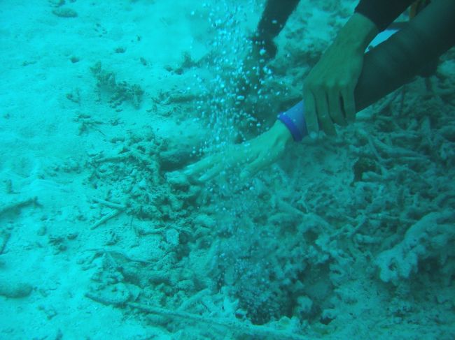 これは不思議な不思議な海底温泉。<br />源泉に手を近づけると結構熱い。５０度以上あるんだって。でもすぐ周りの海水と混ざるので、ちょうど４０度くらいになるのだとか。ほんとにいい湯だな〜てくらいの温度。冷え切った身体にはありがたい。<br />効能は、、姉のシルバーのピアスが金色に変色したことか？すげー錬金術とか言って。<br /><br />穴からゆらゆらと湧き出てるのが見えますかー？<br />これこそ日本最南端の温泉ですぜ。