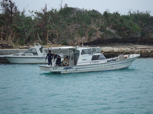 「SeaLight」さんの船。<br /><br />海から上がって冷えたところを、ウエットの中にお湯を流し込んでくれるサービスは感涙もの。石垣の時と気温や北風は同じようなものだったけど、このひと工夫でどれだけ快適だったことか！