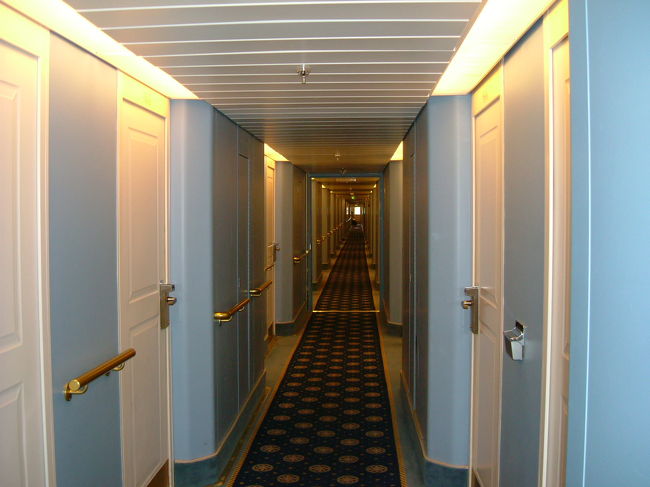 やはり陸地ではないので、少しは揺れを感じます。乗り物にとても弱い方はお酒は控えた方がいいかもしれません。