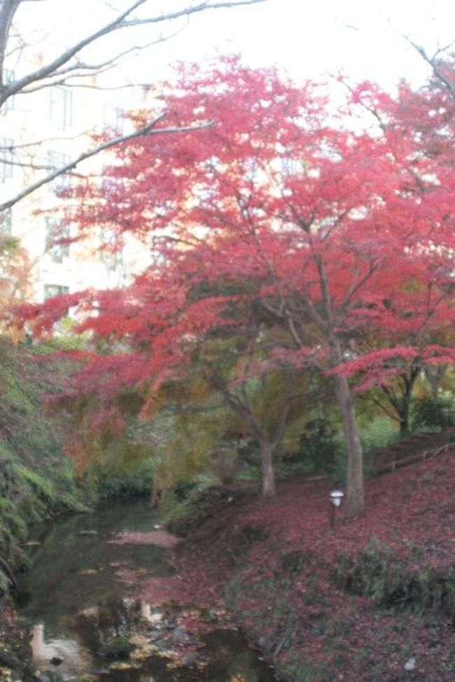 とりあえず、太陽が沈まないとイルミネーションが点灯しないので敷地内をウロウロしました。<br />施設の南部分のありがた山に。