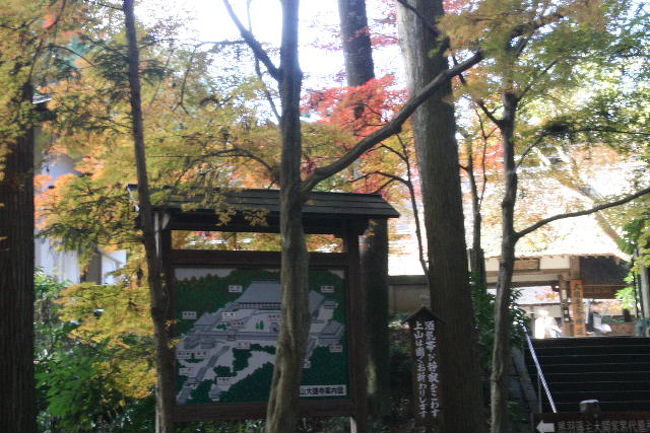 「大雄寺(だいおうじ）」の地図、迷うことはありませんが概観図を頭に入れて散策しましょう。