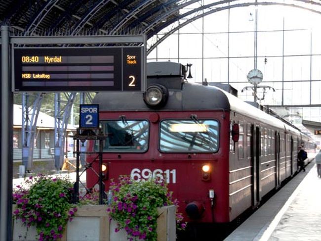 　ソグネフィヨルドを観るために乗った電車（ミュルダール行）です。朝８時４０分発の電車に乗りました。