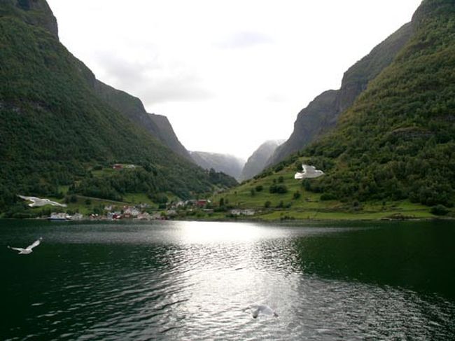 　フロムを出てしばらくするとカモメが餌をねだりにやってきます。餌を投げると器用に食べるので、子供たちは大喜び！
