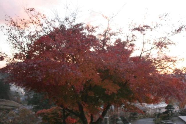 夕焼けと紅葉。