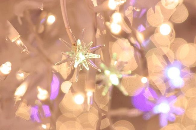 この光がいろいろな色に変化します。