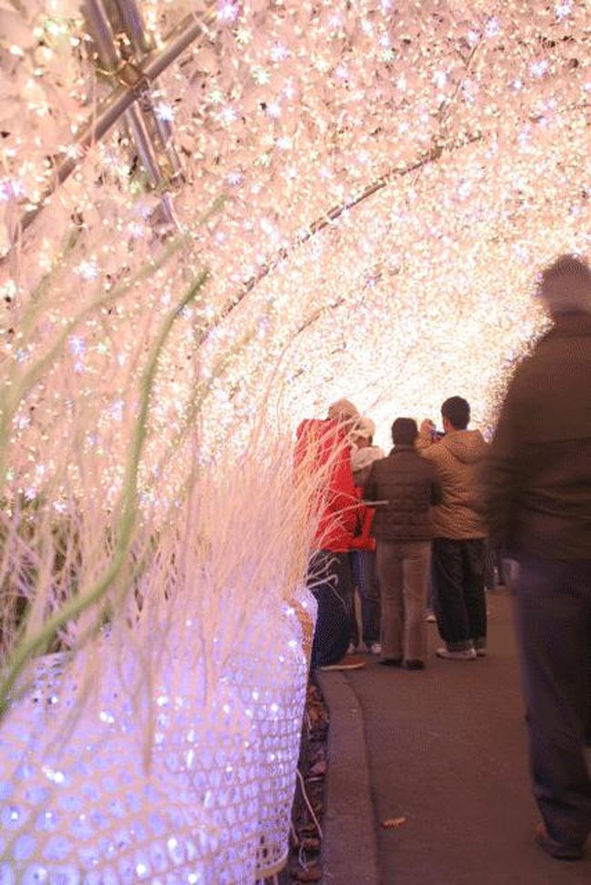 左下の部分が今年新しく追加されました。