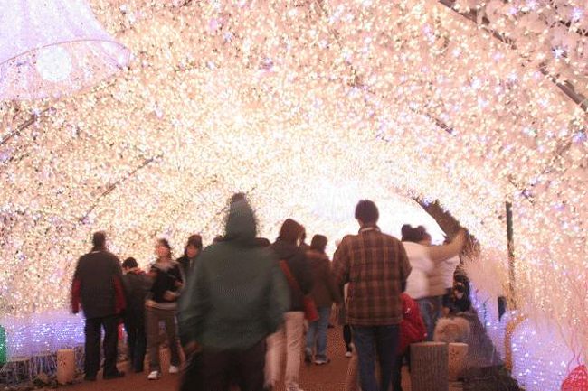 大勢の方が見物に来ています。