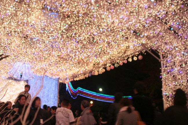 イルミネーションが奇麗です。