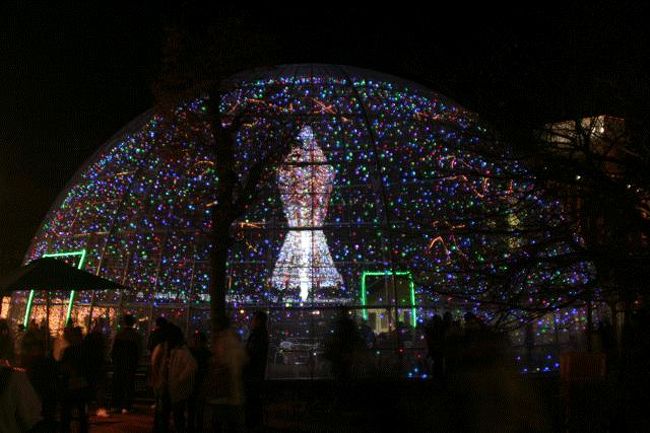 ドーム型のイルミネーション。<br />