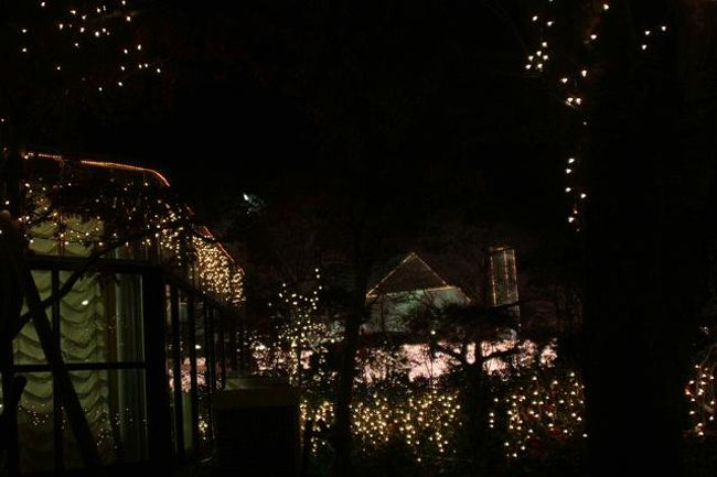 こちらは、建物のイルミネーションです。