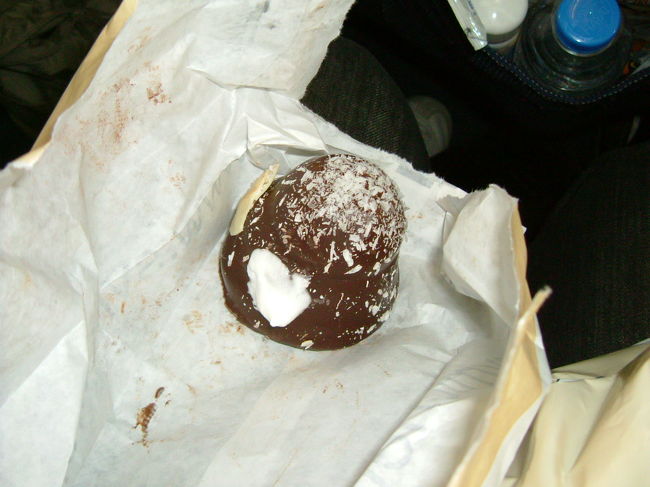 コンビニやデパートなどで見かけたお菓子を最後に購入。チョコでコーティングされていて、マシュマロと生クリームを合わせたような、ふわっととろける感じでした。