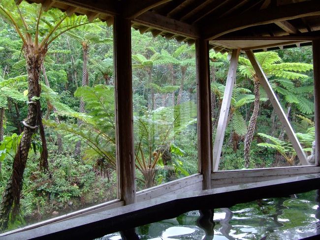 「西表島温泉」、ほぼ貸し切り♪<br /><br />でっかいゼンマイみたいなシダ科の怪しい巨大植物に囲まれて、のんびり温泉を楽しめます。<br /><br />行きはバスだったけど、帰りは風呂あがりに知り合った八重山病のお兄さん達に宿まで送ってもらいました。ラッキー★お世話になりました〜m(__)m