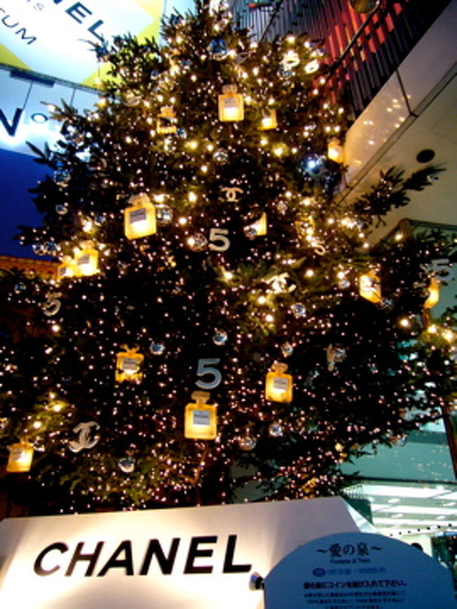 10Mもあるんですよ。<br />さすがに今日は三脚持っていないので、これが限界。