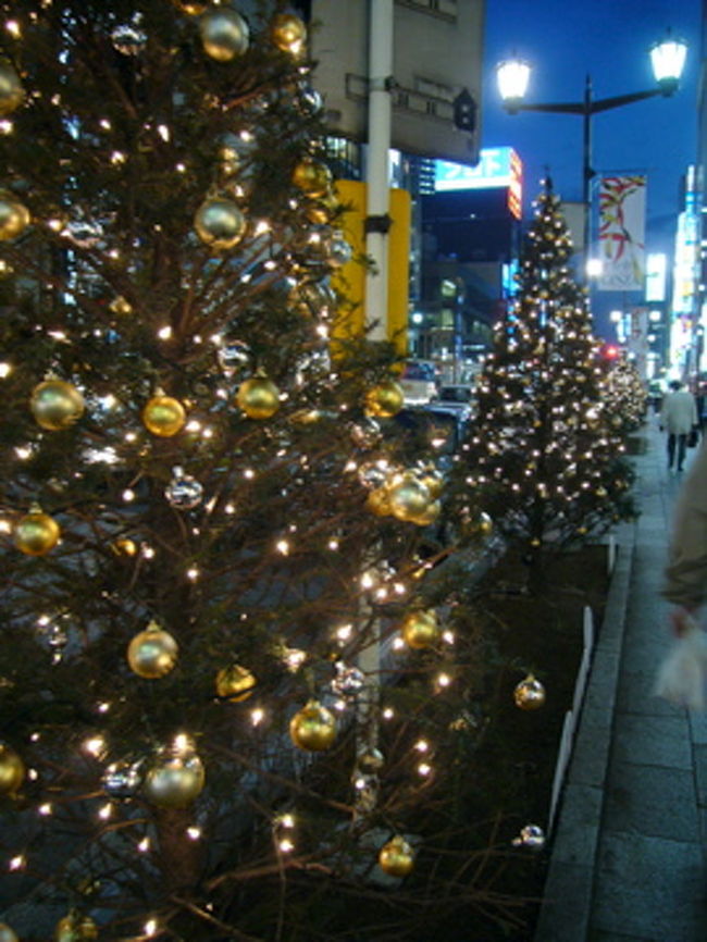 銀座通りの歩道は植え込みに、背丈程のツリーが並ぶ。<br /><br />今日の所はここまで。<br />今後も銀座のイルミネーションを更新していきますね。