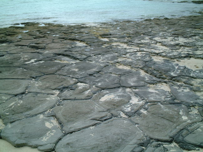 畳石。<br />亀の甲のような形の岩はとても貴重なものだそうで、県指定天然記念物になっています。