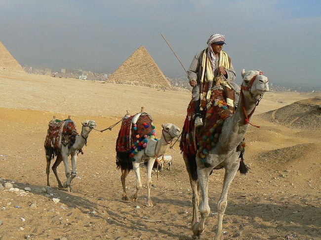 一日に一万人もの観光客が訪れるパノラマスポット