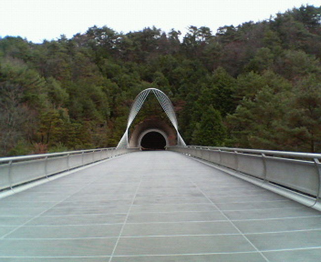 レセプション棟と美術館棟は、徒歩10分か電動バス5分で移動。<br />その間にあるトンネルです。<br />電動バスは基本的に高齢者や不自由な方を優先しています。<br />バスの中でもスタッフの方に質問をすると、いろんな事を教えてくれました。<br />同行者が英語で問いかけても、英語で答えてくれました。